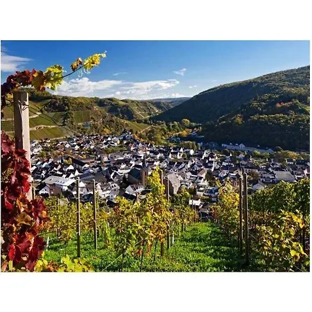 Holiday home Naekel-sonnenberg Dernau