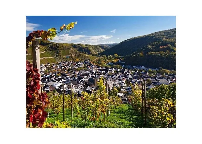 Ferienhaus Naekel-sonnenberg Dernau